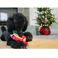 PLAY Pickup truck met kerstboom